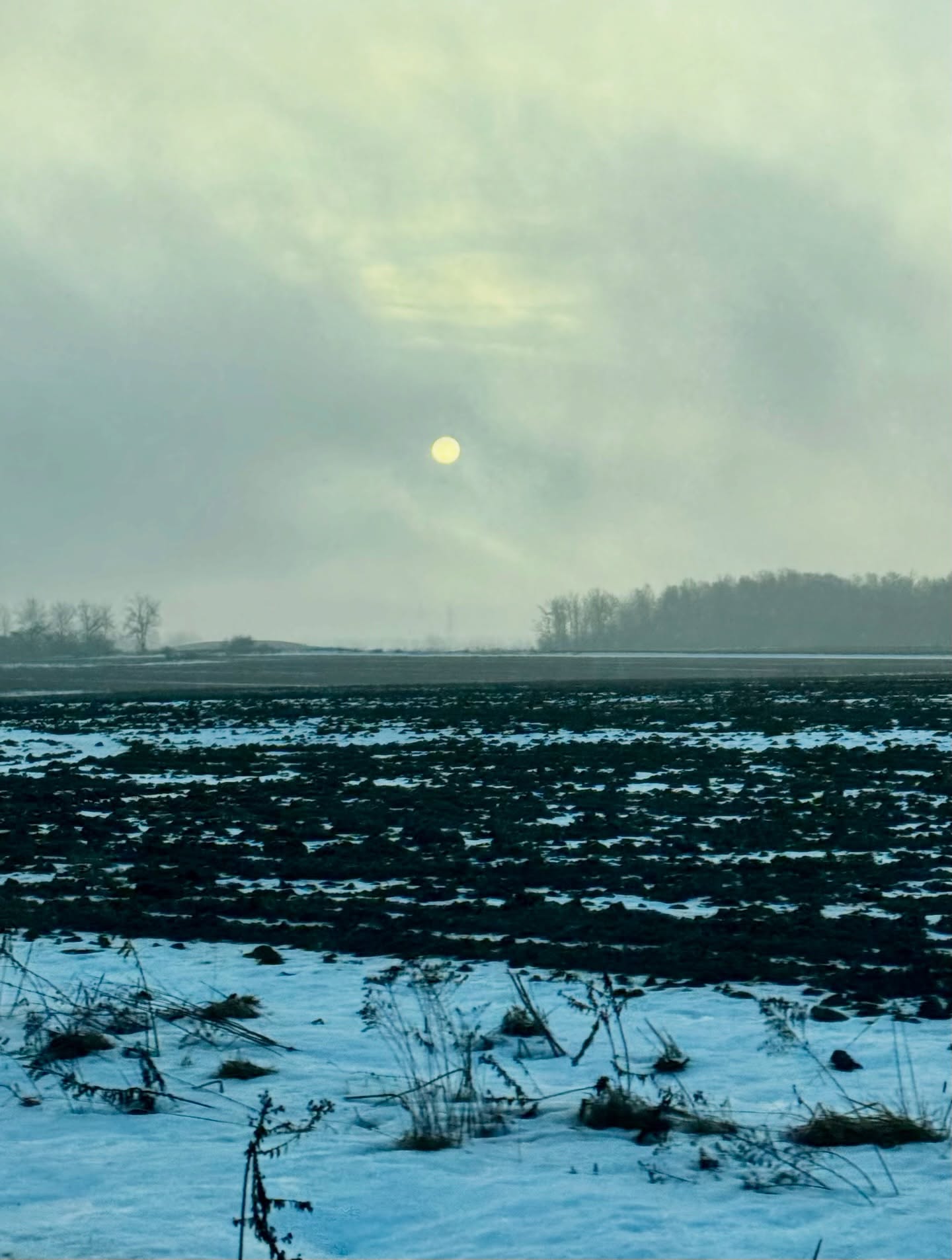 A weak winter sun. It’s been overcast for nearly a month. Hopefully we’ll have some light!
🇫🇷un faible soleil d’hiver matinale. C’est nuageux depuis un bon mois ici. Enfin si on pourrait avoir un peu de lumière. 
📷: ©️2026 rosemarymichel.com 
#wintersun #wintermorning #naturephotos